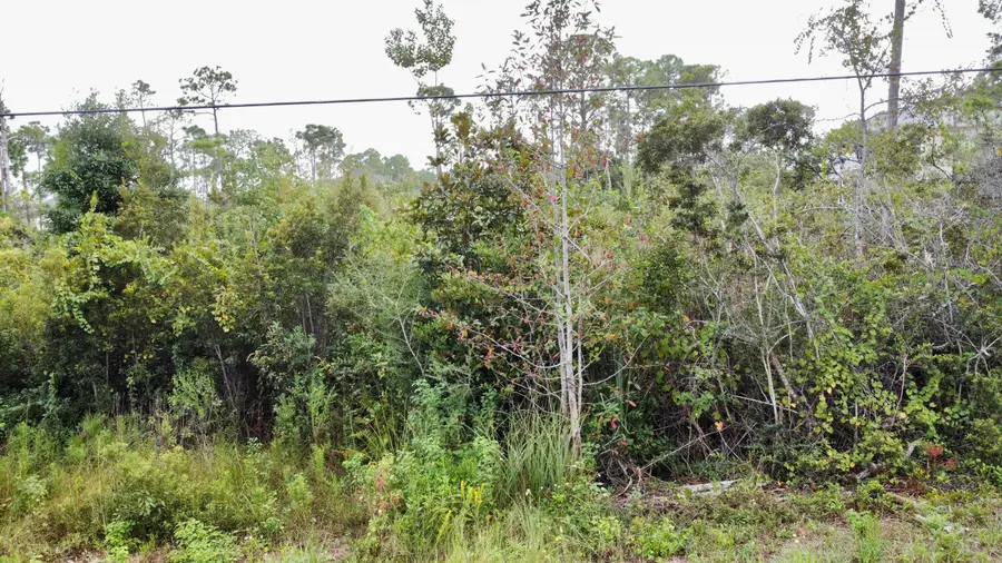Lot 38 W Casa Grande, Santa Rosa Beach, FL 32459 - #3