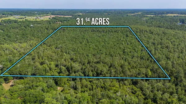 31 acres Canyon Trail, Baker, FL 32531