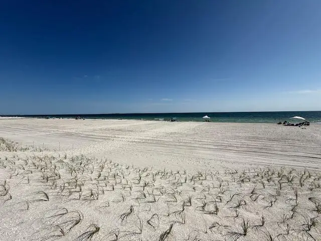 1201 Hwy 98, Mexico Beach, FL 32456 - Image #3