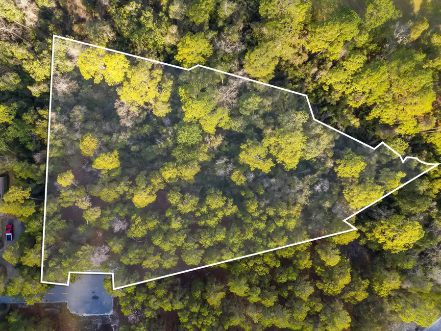 1619 Sharks Tooth Trail, Panama City Beach, FL 32413 - Image #3