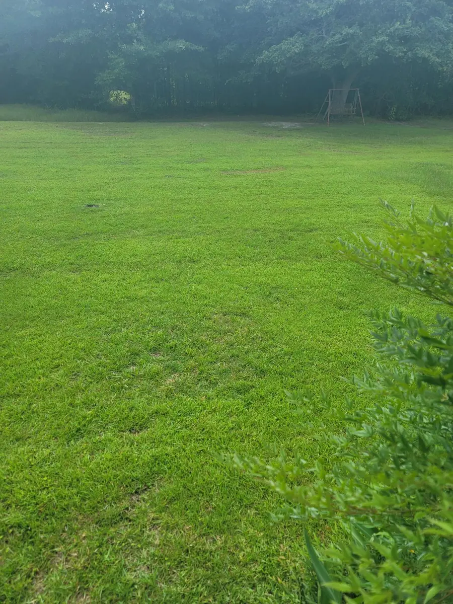 814 Maple Street Street, Chipley, FL 32428 - Image #2