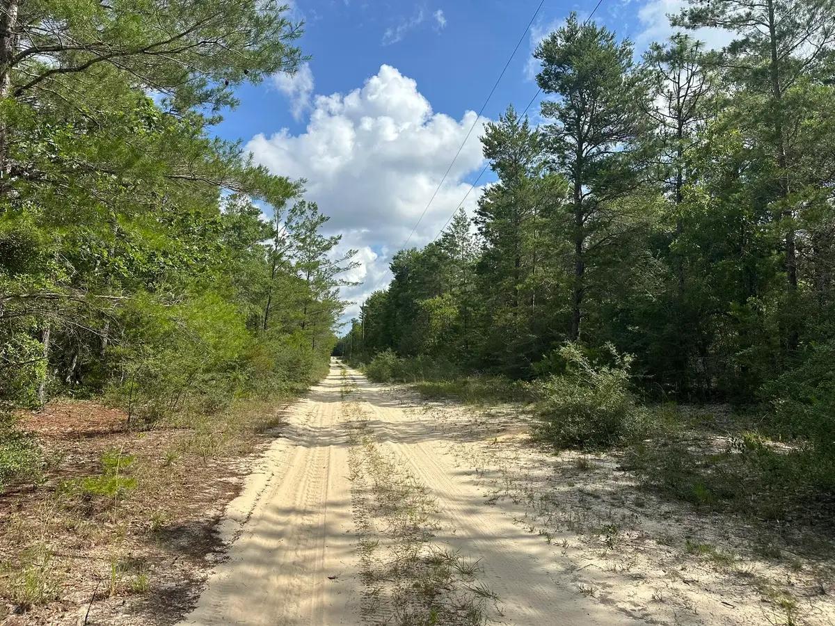 20 AC+/- Shot Gun Trail, Crestview, FL 32539 - Image #1