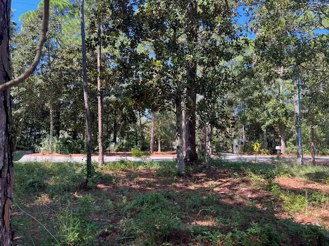 TBD W Hewett Road, Santa Rosa Beach, FL 32459 - #2