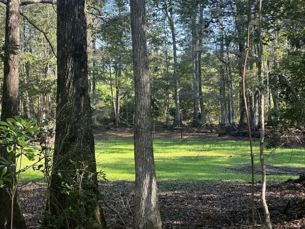 Parcel E Millside Road, Laurel Hill, FL 32567