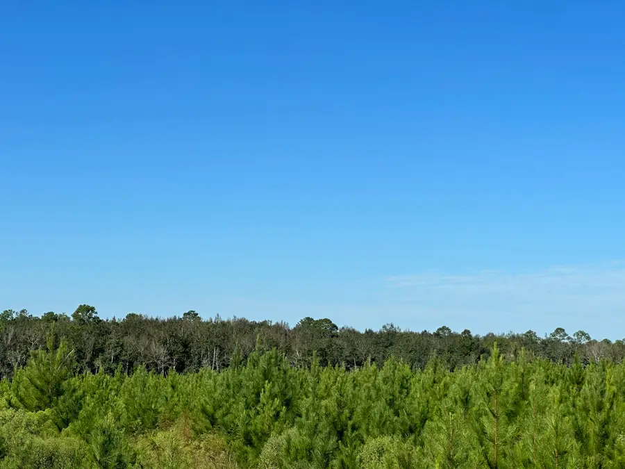 Parcel E Millside Road, Laurel Hill, FL 32567 - Image #2