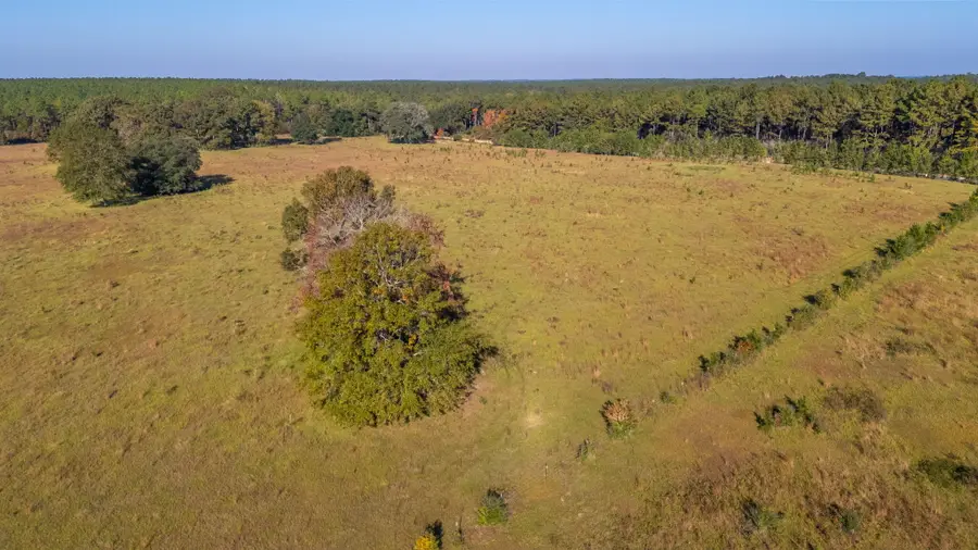 xx Wallace Road, Defuniak Springs, FL 32433 - Image #2