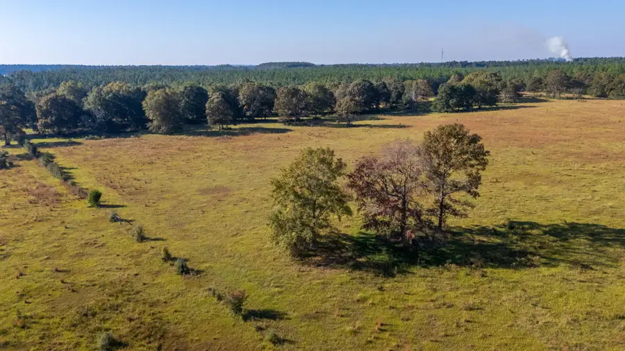 xx Wallace Road, Defuniak Springs, FL 32433 - Image #3