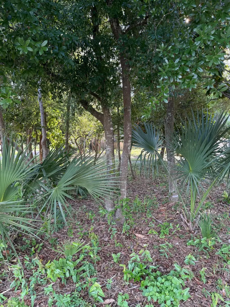 317 Main Street, Destin, FL 32541 - Image #3