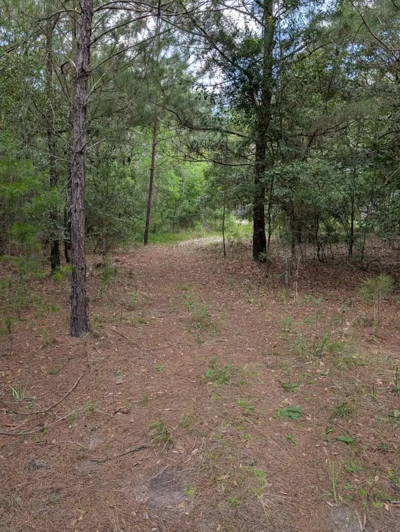 TBD Chief Bragg Drive, Freeport, FL 32439 - #2