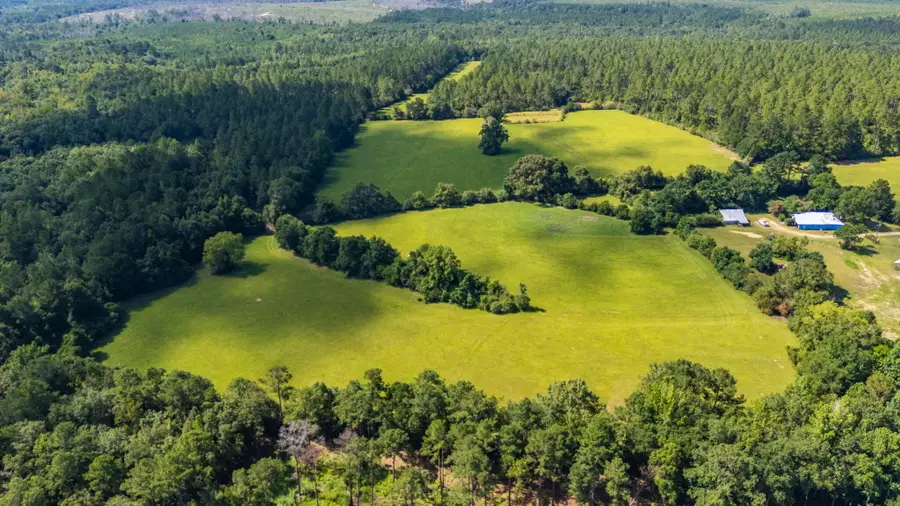 139 Acres Yorkey Road, Westville, FL 32464 - Image #2
