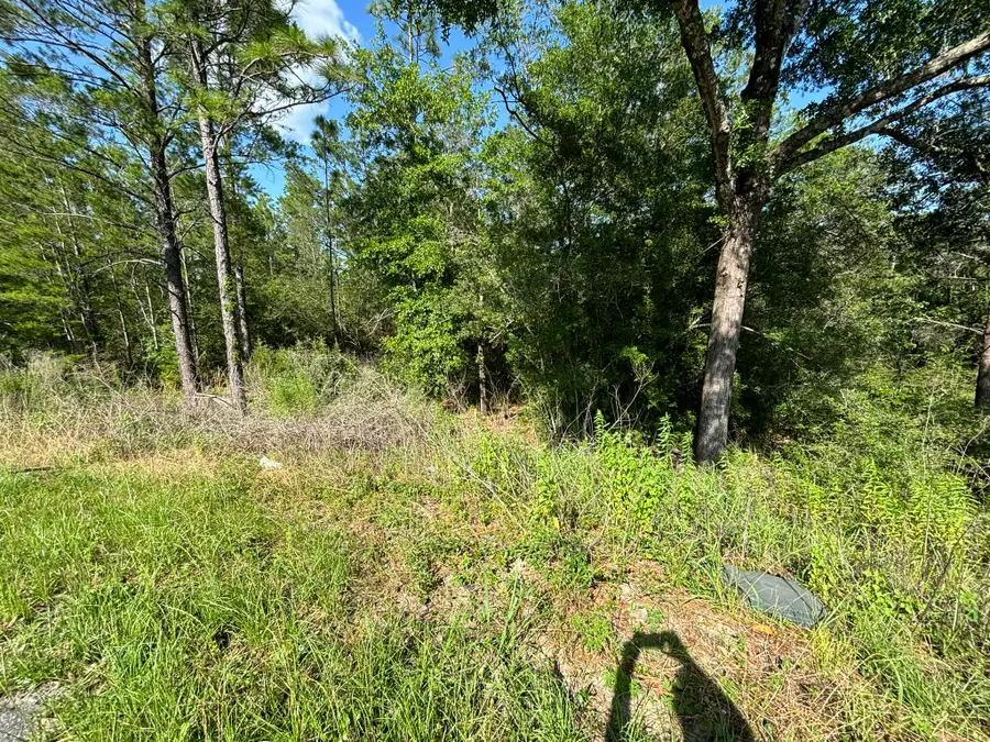 0 E White Rose Street, Defuniak Springs, FL 32433 - Image #2