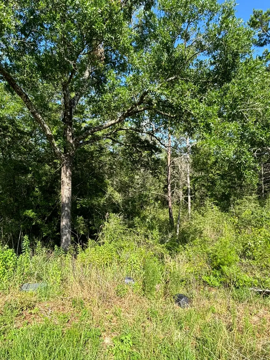 0 E White Rose Street, Defuniak Springs, FL 32433 - Image #3