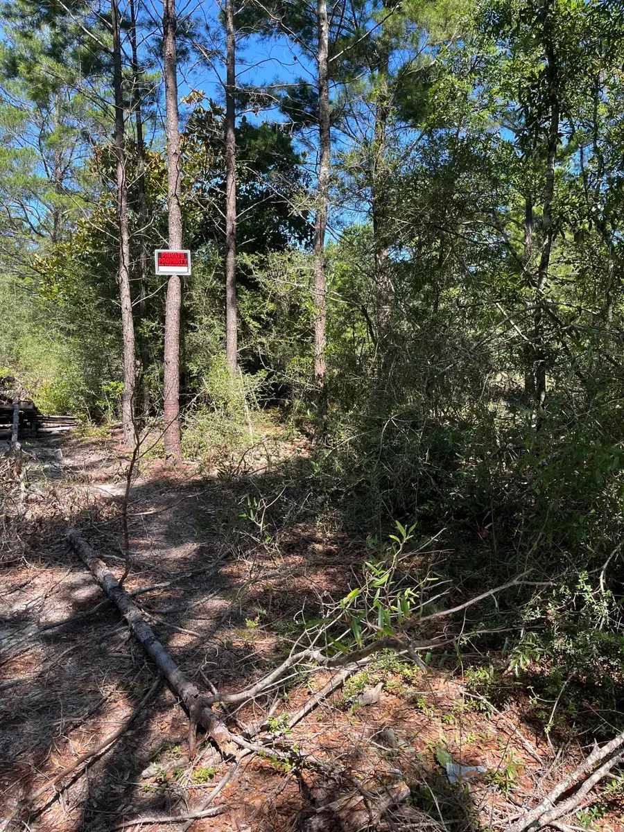 45-48 W Buckeye Street, Paxton Darlington, FL 32434 - Image #2