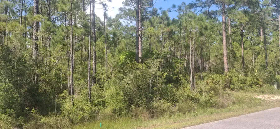 lot 12 W Nursery Road, Santa Rosa Beach, FL 32459 - #2