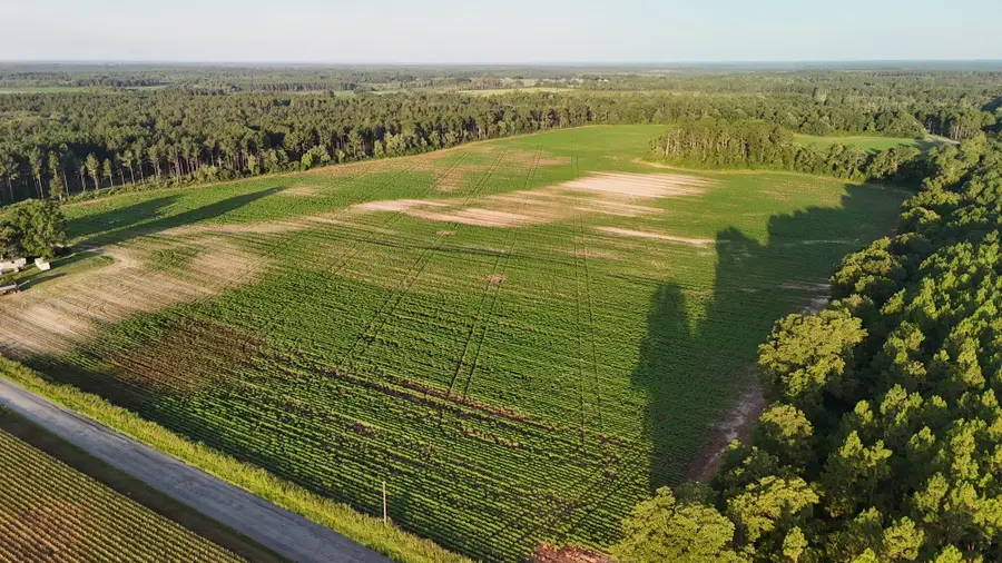 404 E E M White Road Road, Defuniak Springs, FL 32433 - Image #3