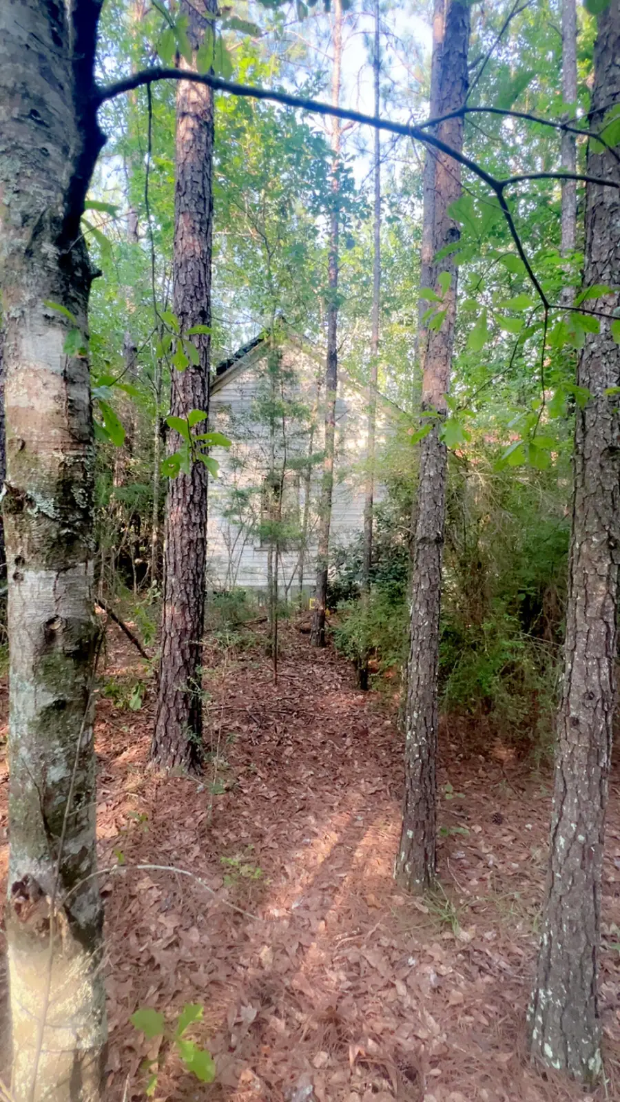 72 Acres Grimes Road, Laurel Hill, FL 32567 - Image #3