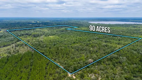 90 Acres Union Hill Road, Vernon, FL 32462