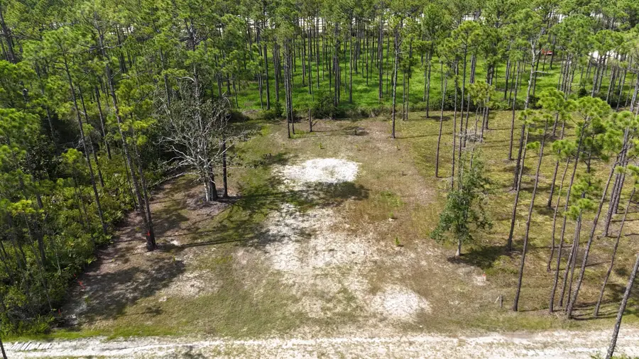 lot 6 Foxmire Farm Road, Santa Rosa Beach, FL 32459 - #3