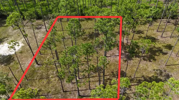 lot 5 Foxmire Farm Road, Santa Rosa Beach, FL 32459