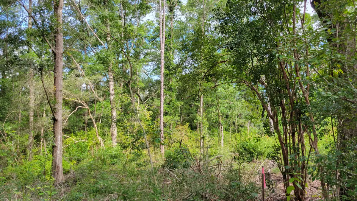 00 NE Second Avenue, Crestview, FL 32539 - Image #1