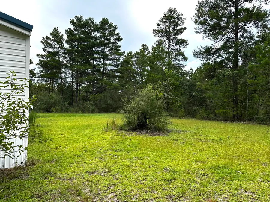 201 Tangelo Street, Defuniak Springs, FL 32433 - Image #2