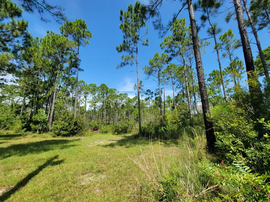 Lot 8 Delbert Lane, Santa Rosa Beach, FL 32459 - #2