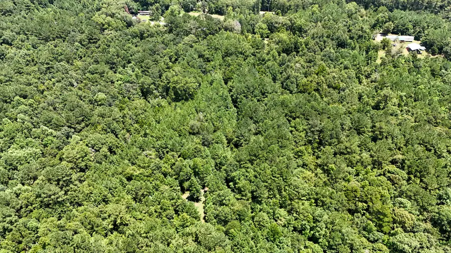 0 Tyner Lane, Defuniak Springs, FL 32435 - Image #2