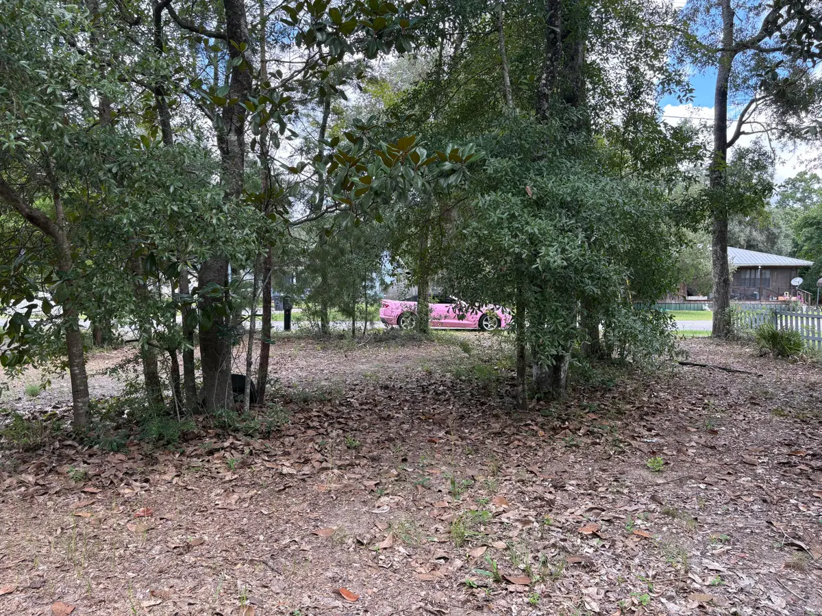 188 Palmetto Avenue, Freeport, FL 32439 - #1