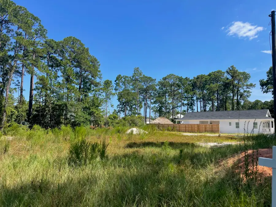 00 E Ann Street, Santa Rosa Beach, FL 32459 - #2