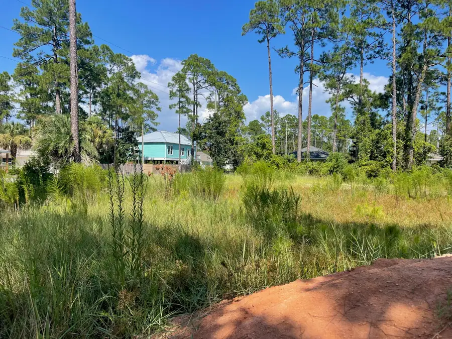 00 E Ann Street, Santa Rosa Beach, FL 32459 - #3