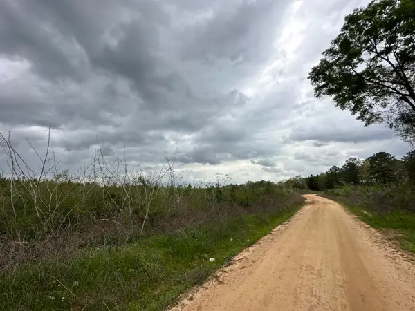 Tract#6103 Gorum Bridge Road, Other, AL 00N/A