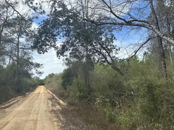 Tract#6301 W Love Road, Bonifay, FL 32425