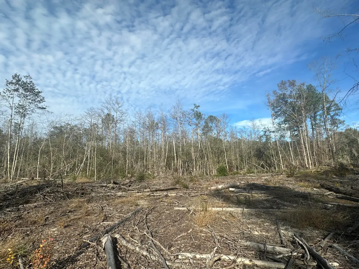 Tract#6331 Sellers Road, Bonifay, FL 32425 - Image #1