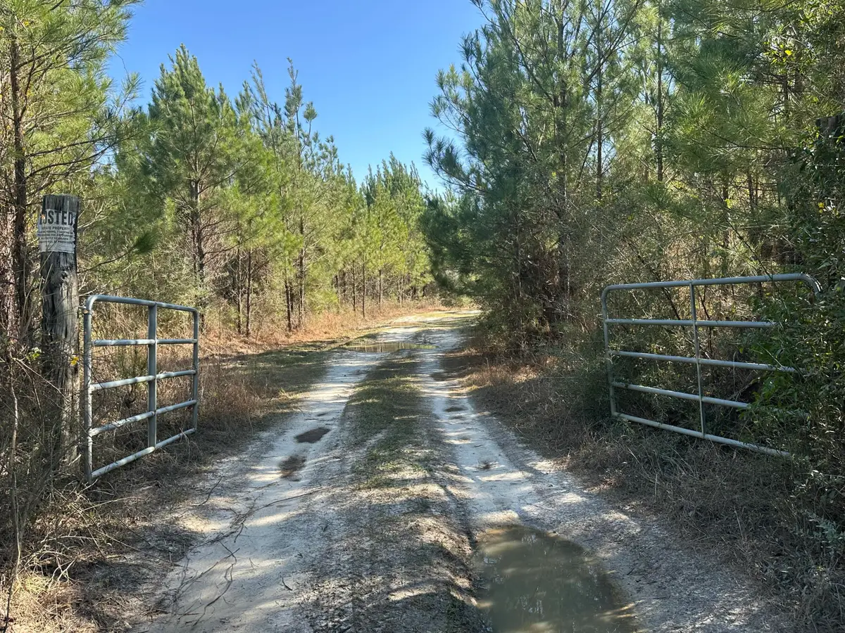 Tract#6317 Harris Stevenson Road, Bonifay, FL 32425 - #1