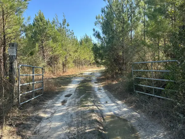 Tract#6317 Harris Stevenson Road, Bonifay, FL 32425
