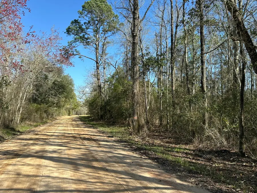 Tract#6317 Harris Stevenson Road, Bonifay, FL 32425 - #2