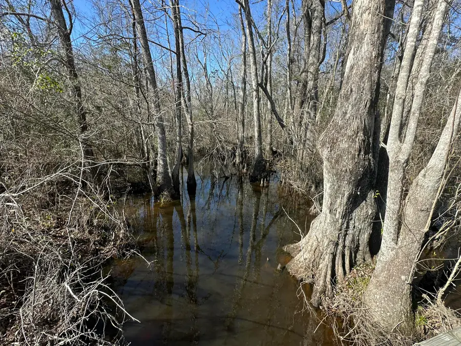 Tract#6317 Harris Stevenson Road, Bonifay, FL 32425 - #3