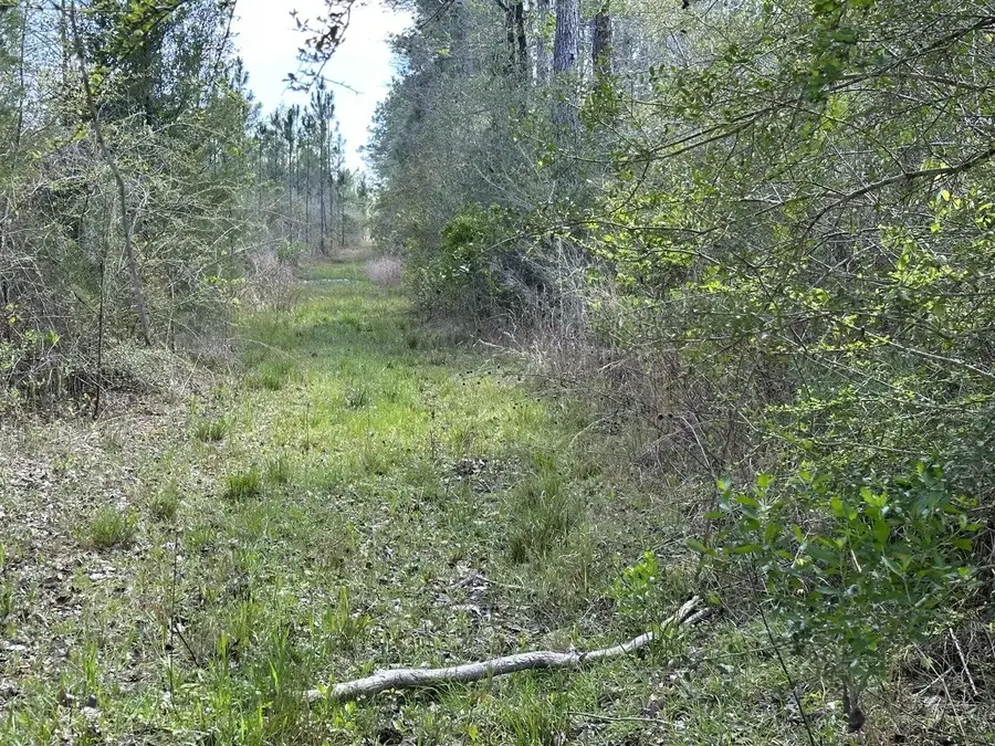 Tract#6416 Brock Road, Caryville, FL 32427 - #2