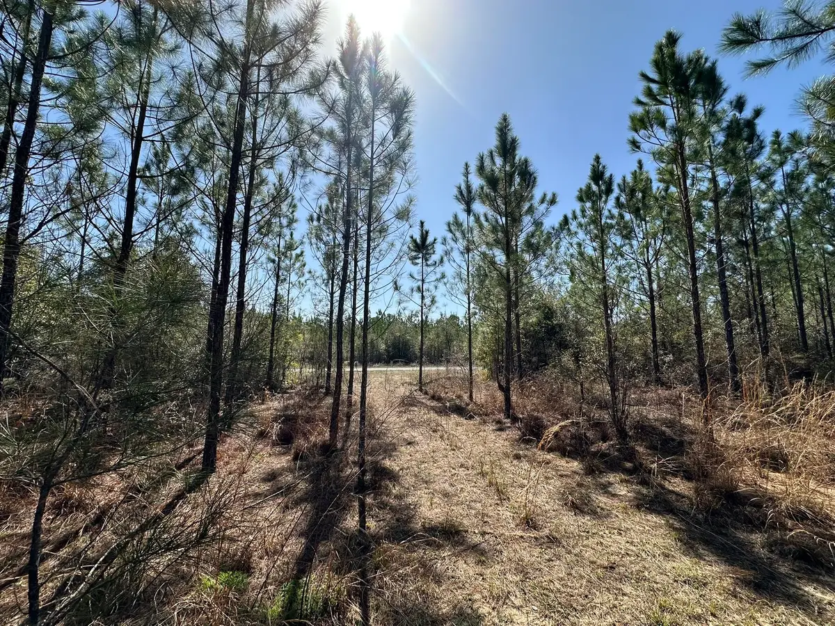 Tract#6416 Douglas Ferry North Road, Caryville, FL 32427 - #1
