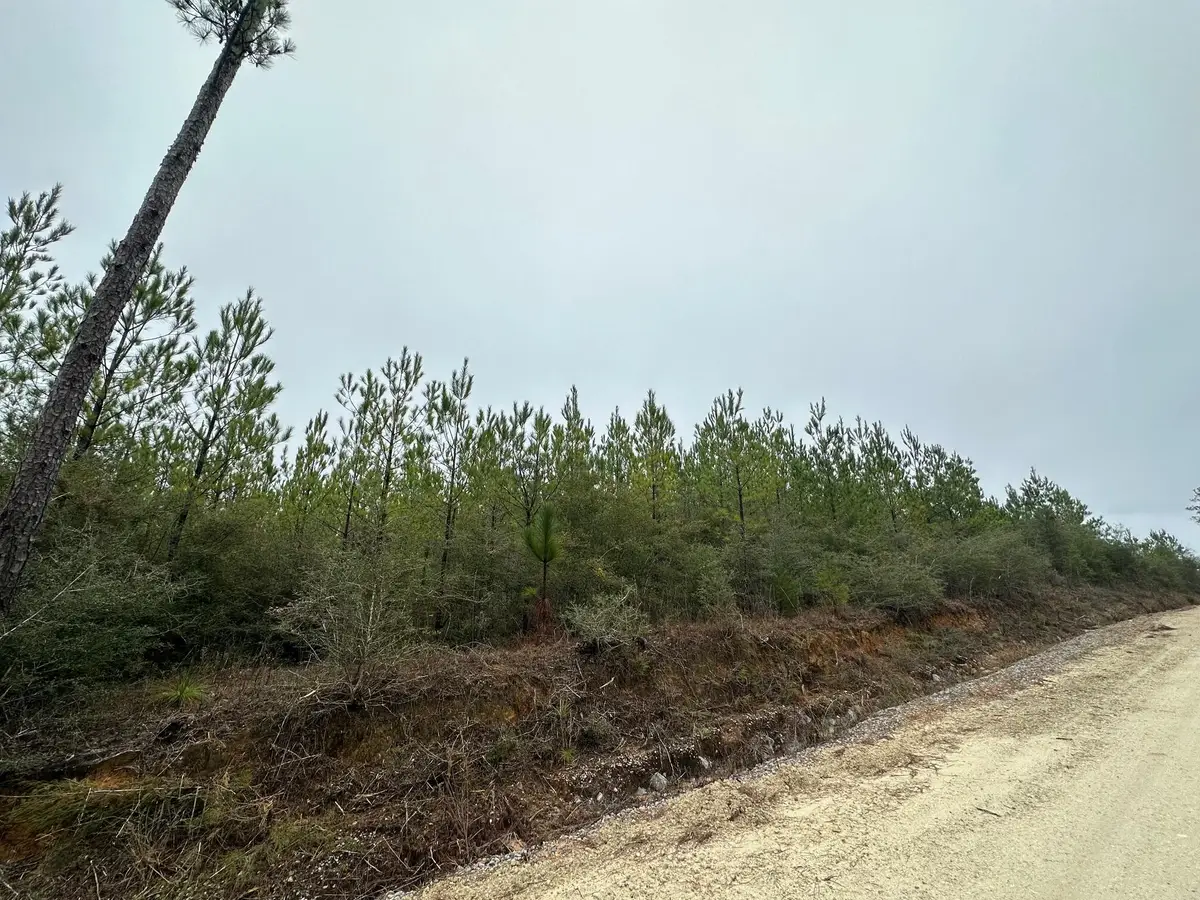 Tract#6418 N Mattox Springs Road #N1, Caryville, FL 32427 - Image #1