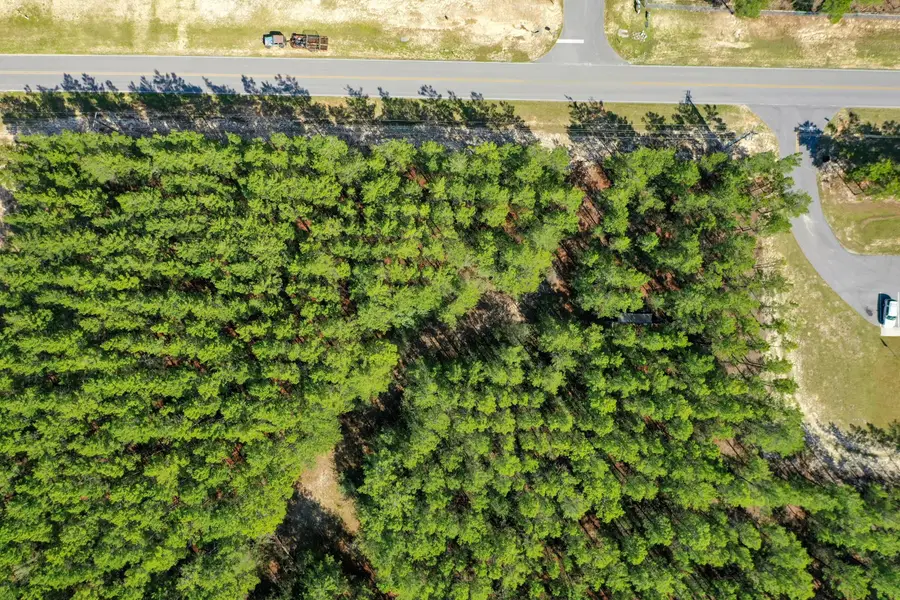 XXX Triple G Road, Defuniak Springs, FL 32433 - Image #3