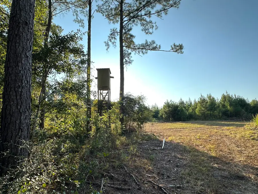 Tract#6201 Doyle Morgan Road, Defuniak Springs, FL 32433 - Image #2