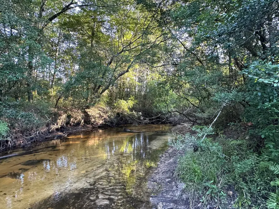 Tract#6201 Doyle Morgan Road, Defuniak Springs, FL 32433 - Image #3