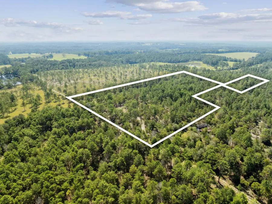 10 Acres White Dog Lane, Defuniak Springs, FL 32433 - Image #3