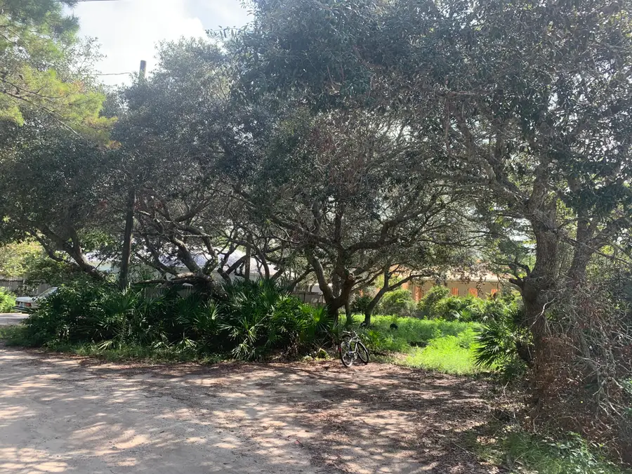 59 Williams Street, Santa Rosa Beach, FL 32459 - #3