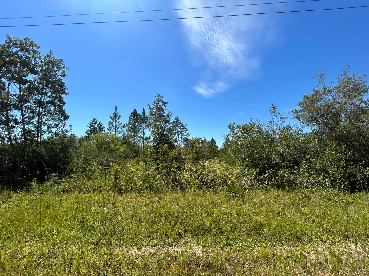 xxx Rollohome Road, Fountain, FL 32438 - Image #1