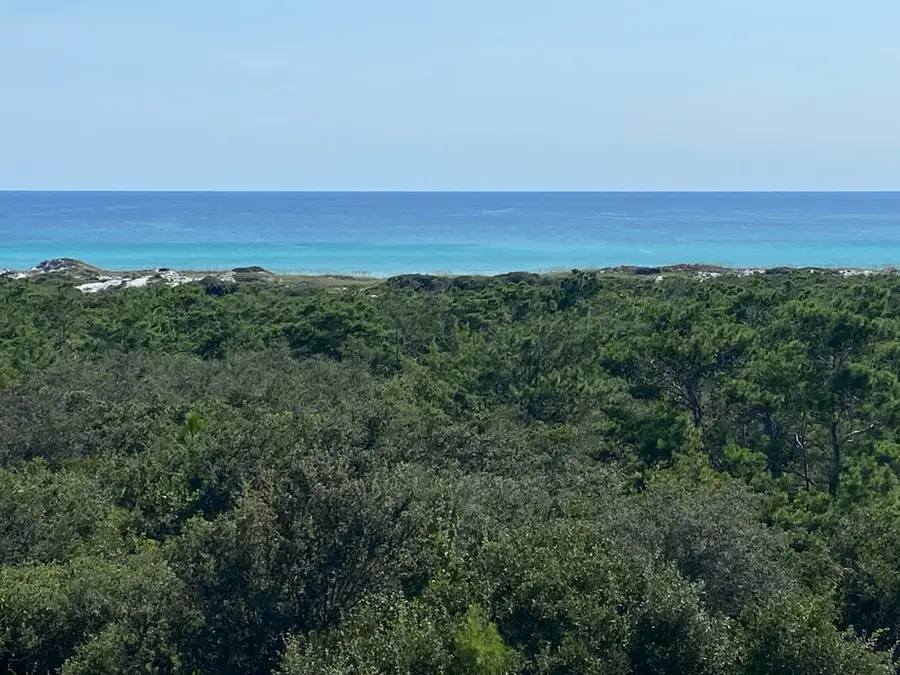 255 Cypress Drive, Santa Rosa Beach, FL 32459 - #2