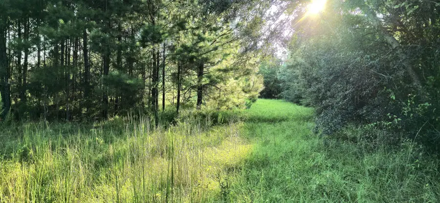 Parcel B Hwy 177a, Bonifay, FL 32425 - Image #3