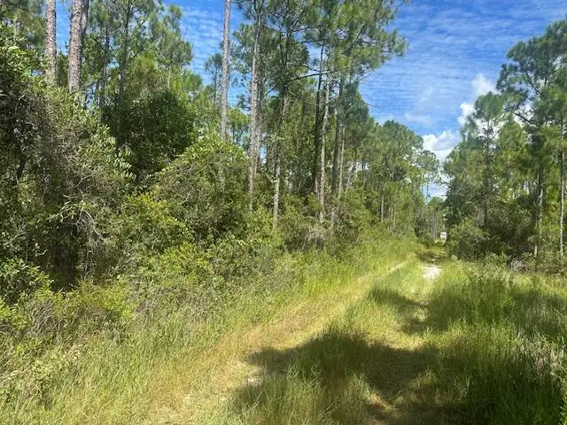 xxx Foxmire Farm Road, Santa Rosa Beach, FL 32459 - #3