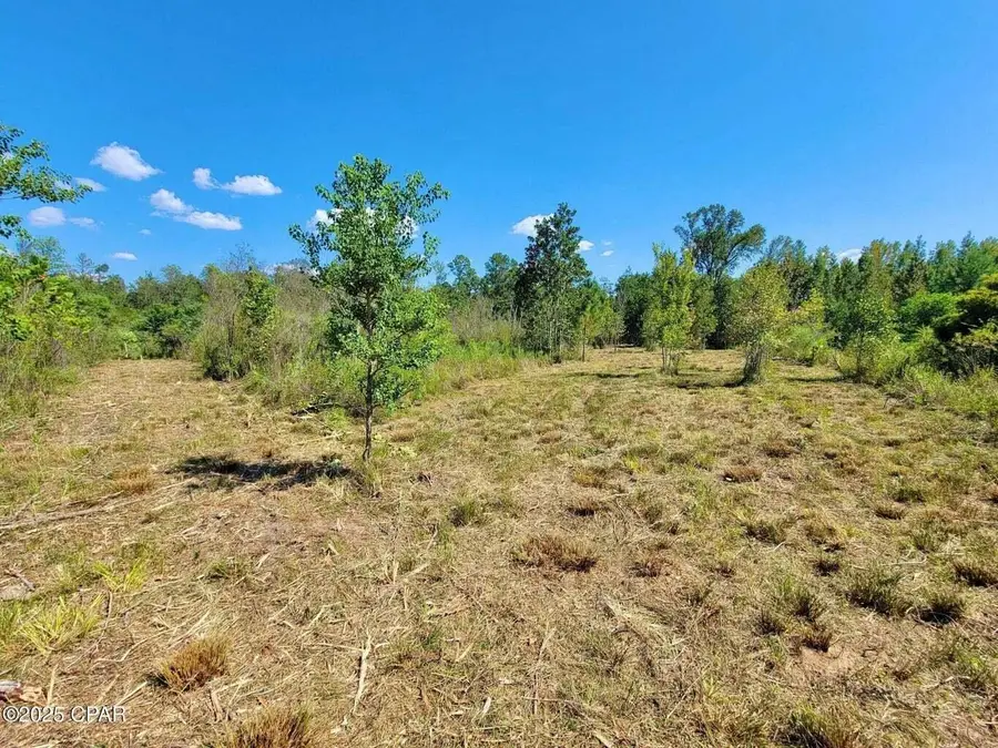 0 Gilberts Mill Road, Chipley, FL 32428 - Image #3